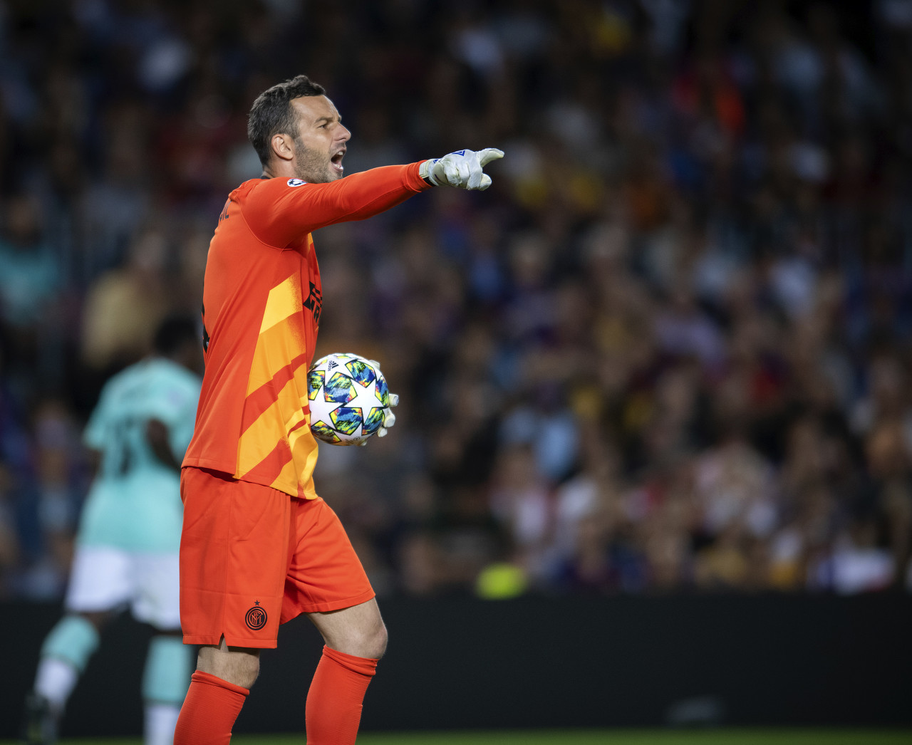 除了竞技因 除了竞技因